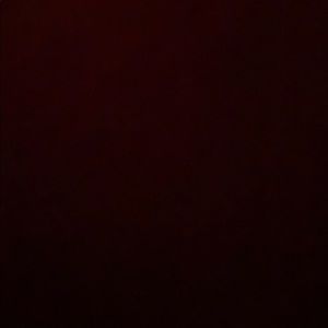 Meet your Posher, Alondra